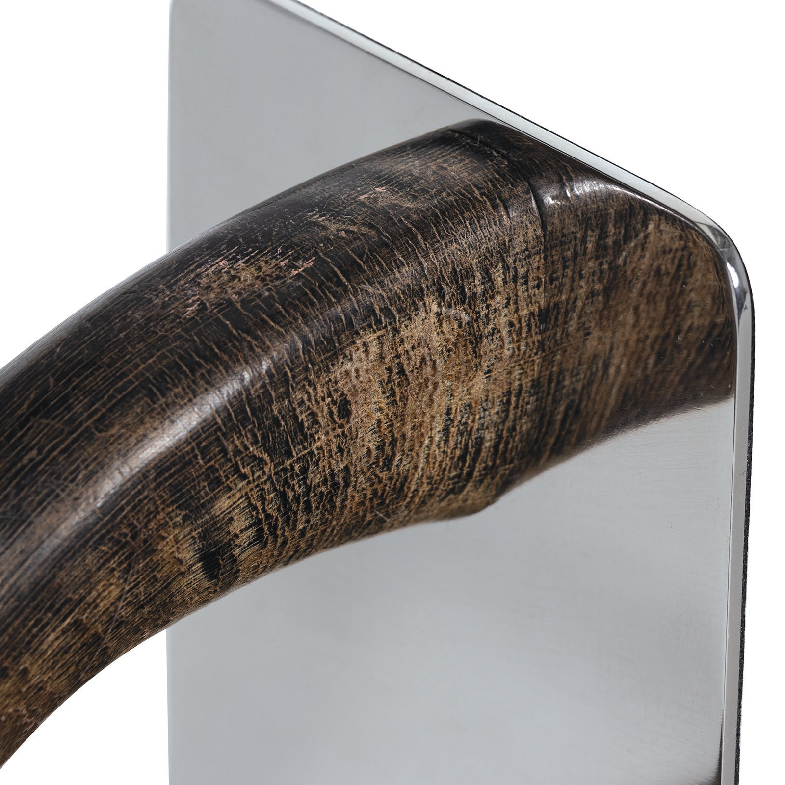 Bibliophile’s Horn Bookend – Bold & Natural - Image 3