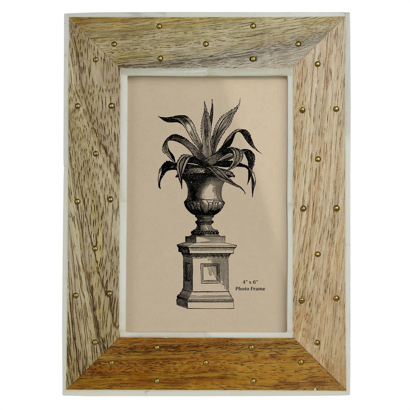 Natural Bone and Mango Frame with Brass Detailing - Image 2