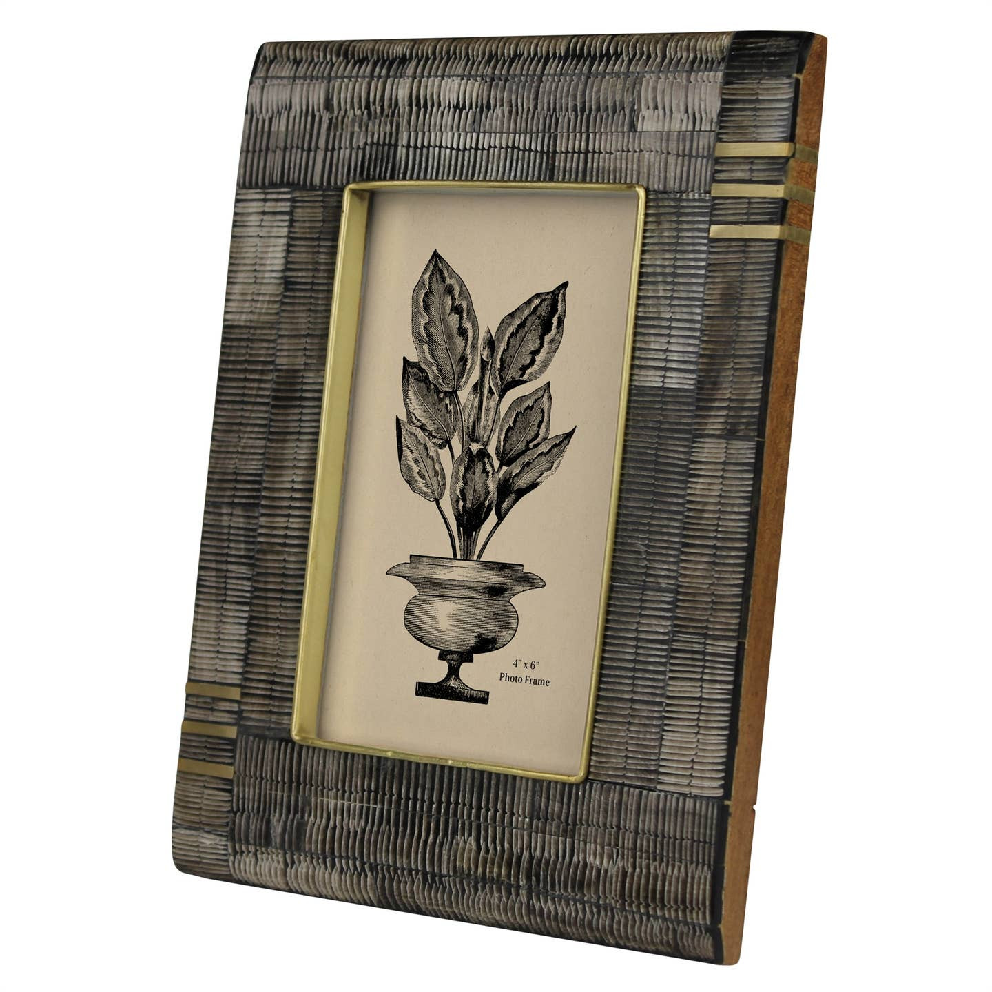 Rustic Glam Horn & Brass Inlay Frame