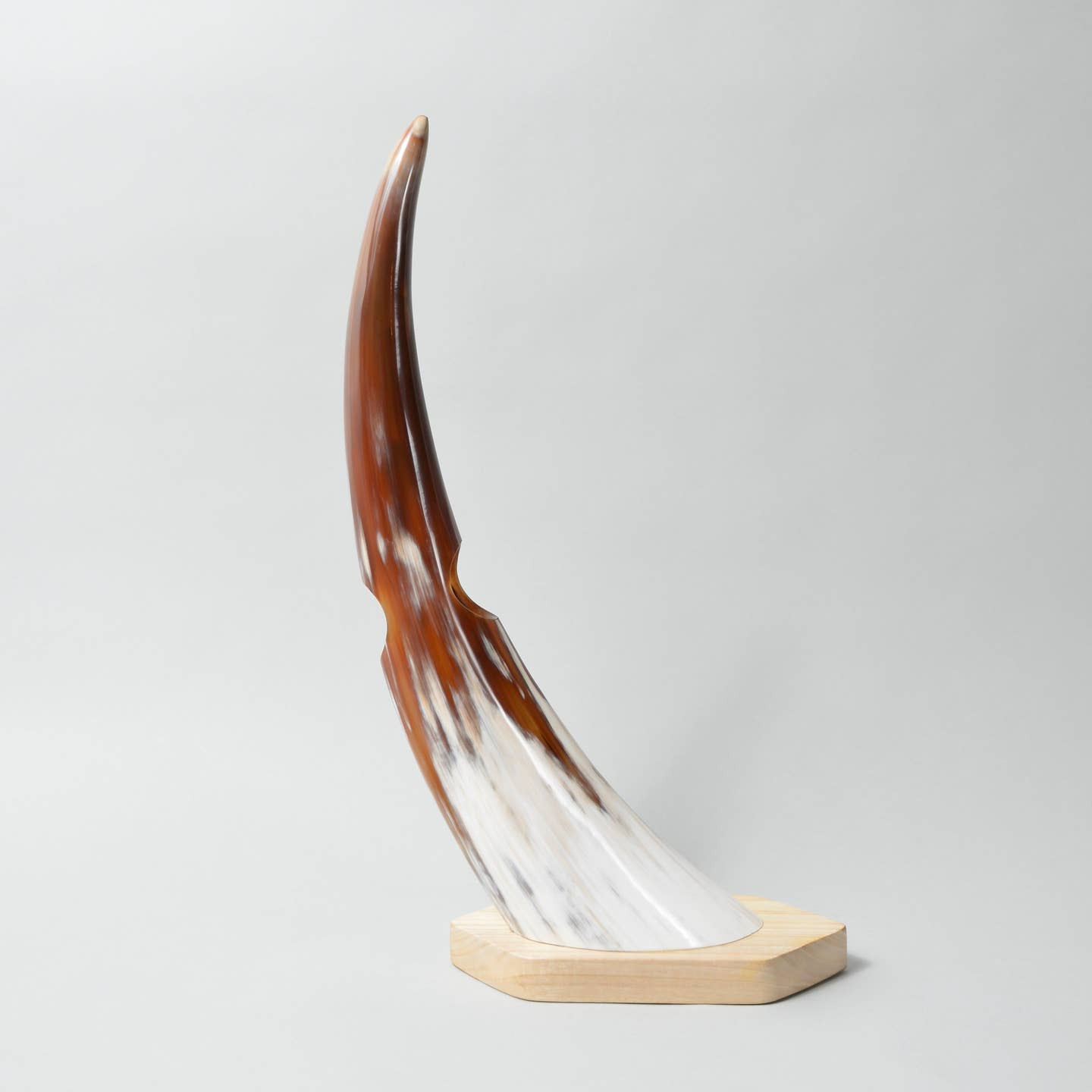 Heritage Luxe: Horn Balancing Wine Holder - Image 4