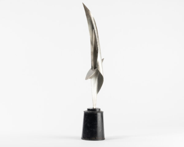 Untamed Power: Shark Abstract Sculpture